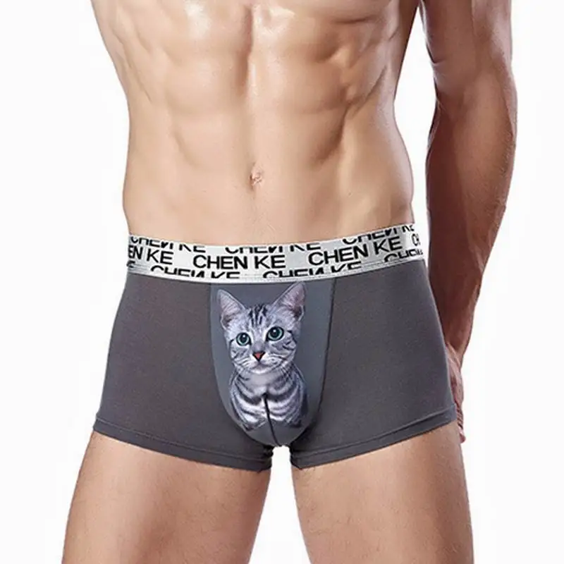 3 pcs/lot CHENKE365 Brand Meow Star Man Fashion Sexy Cat Printing Modal Male Boxer Underwear Wholesale Manufacturers Boxers 4