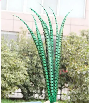 

Wholesale 50 pcs green rare golden pheasant tail feather 36-40 inches / 90-100 cm show party decoration