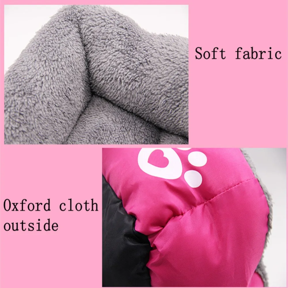 4351946140_559886474_