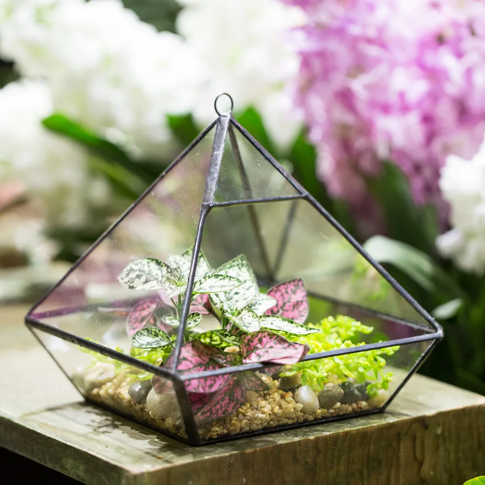 

Indoor Tabletop Hanging Vertebral Succulent Fern Moss flower Geometric Glass Planter Pot Micro Garden Landscape Bonsai Terrarium