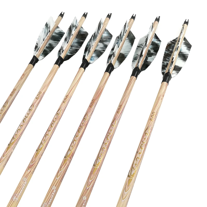 Pinals Archery Spine 400 500 600 Carbon Arrows Shaft Turkey Feather