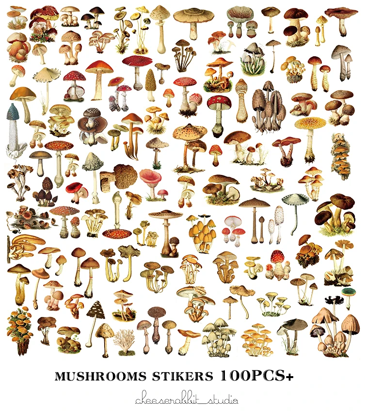 US $4.99 |100 Mushroom chart/Vellum Paper Stickers for Scrapbooking Happy  Planner/Card Making/Journaling Project-in Stickers from Home & Garden on ...