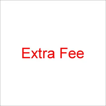 

The Additional Pay or Extra Fee for your Order as Discussed