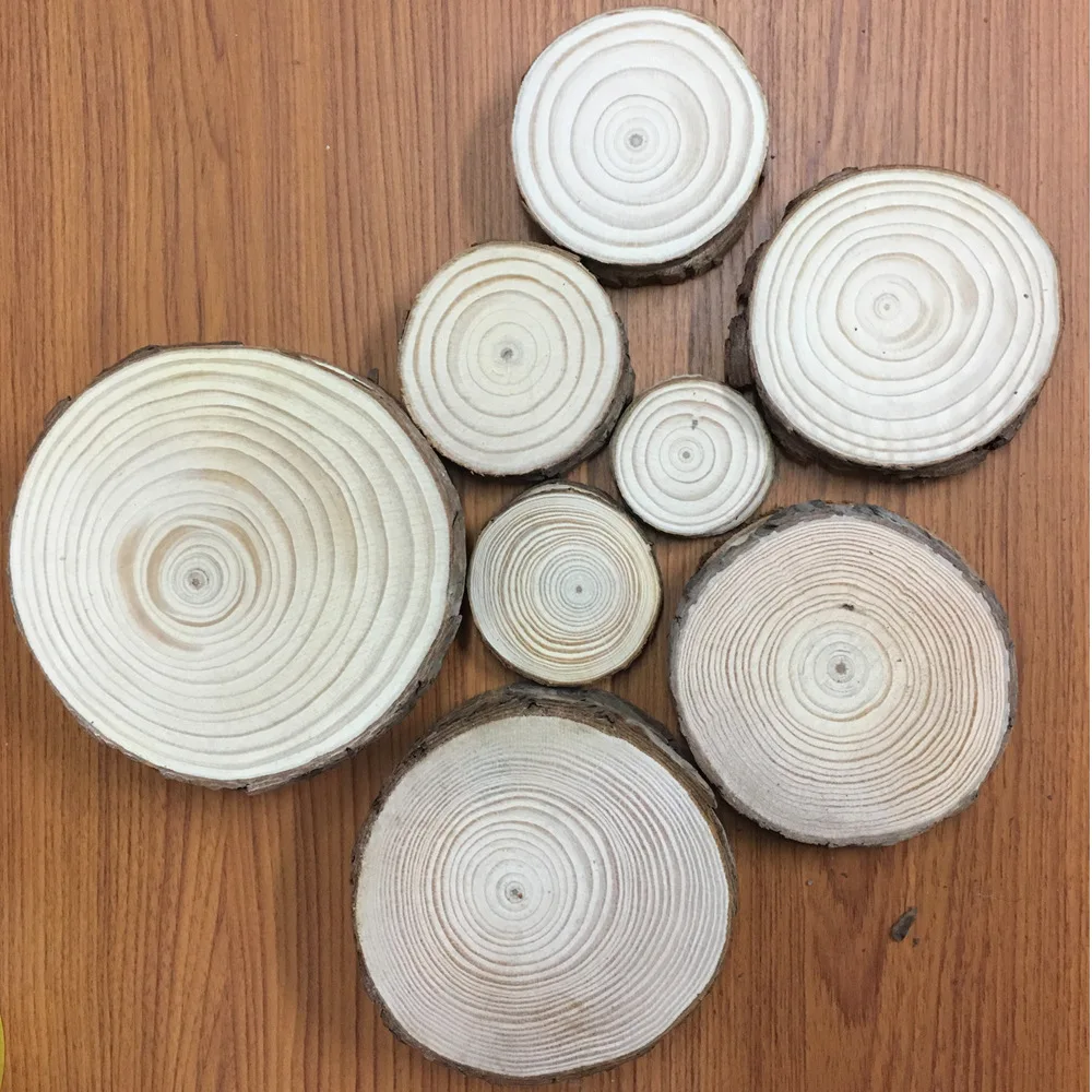 10pcs-Unfinished-Natural-Round-Wood-Slices-Circles-With-Tree-Bark-Log-Discs-For-DIY-Crafts-Wedding (1)