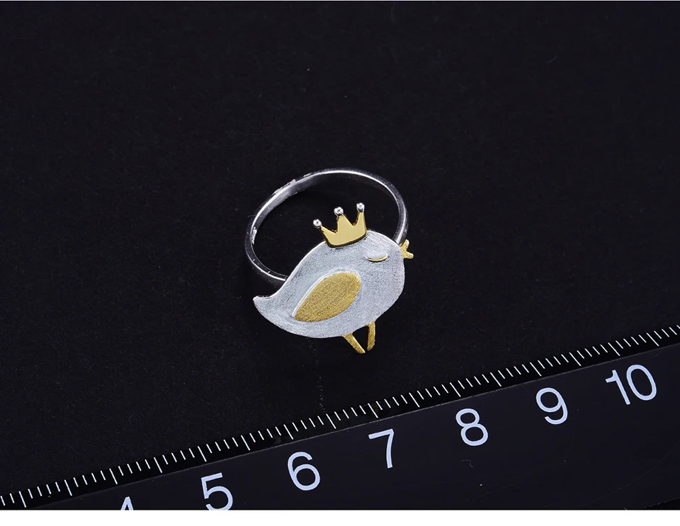 LFJD0085-Lovely-Princess-Bird_09
