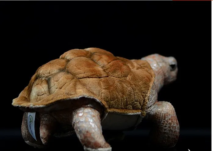

2019 new Simulation Galapagos Giant Tortoise vivid tortoise animal stuffed plush dolls for chrismast gift