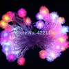 10m 50 RGB Edelweiss LED guirnaldas de Luces de Navidad al aire libre para fiesta decoración para dormitorio de boda Luces Led Decoración ► Foto 1/6