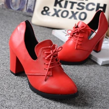 2017 spring & autumn women’s pointed toe thick heel high-heeled shoes comfortable all-match work shoes Free shipping