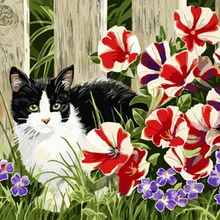 Безрамная картина по номерам краска по номеру для домашнего декора ПБН для гостиной 4050 Китти со славой