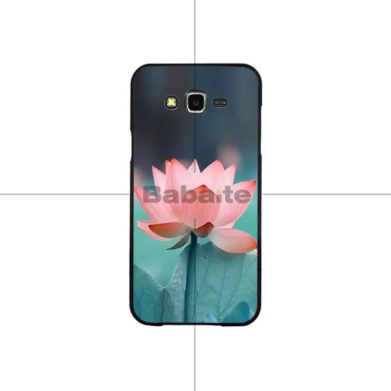 Flower Lotus Tulip