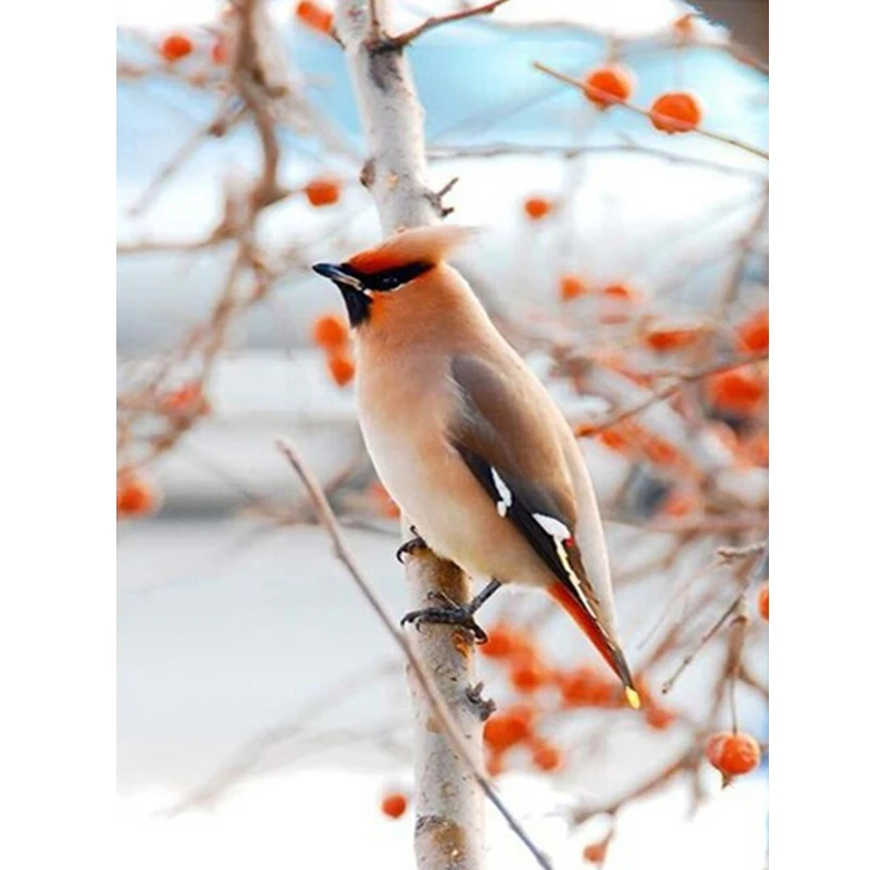 Diamond Embroidery Bird Woods Diamond Painting Cross Stitch Home Decor Mosaic Rhinestone Gift Square Full Drill Animal Picture