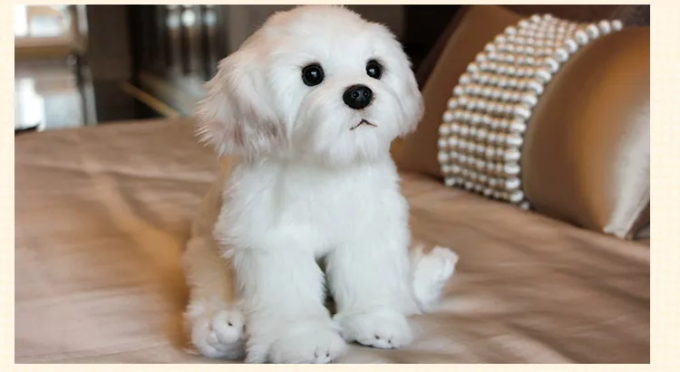 Filhote de Cachorro de Pelúcia Brinquedo do Bebê Presente de Aniversário para Crianças Bichon Frise Vida Real Pelúcia Bonito Kawaii Fofo Miúdo Boneca Dropshipping 2 Pçs 8 2 pçs bichon frise vida real pelúcia
