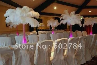 

EMS Free shipping white Ostrich Feather 50pcs 50-55cm 20-22" ostrich plumes wedding feathers