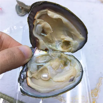 

Cultured Freshwater Oyster Pearl Beads Different Color Pearl 7-8mm Rice Shape Crystal Clear Jewelry Accessory For Women Lady