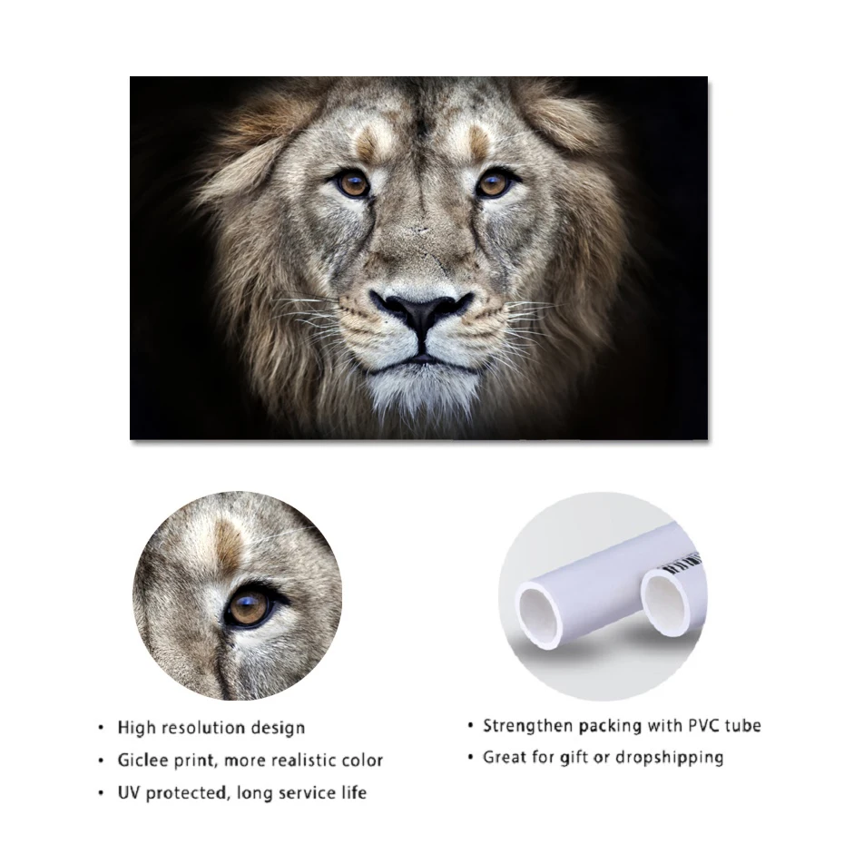 Modern Fiercely Wild Animals Canvas Paintings Printed Black And