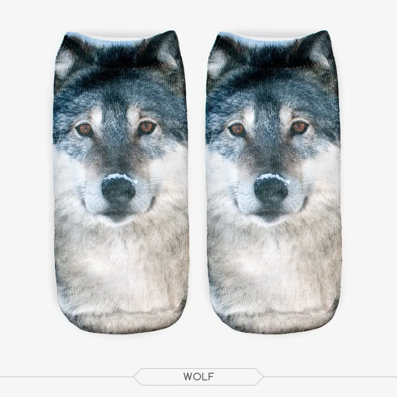 HTB1GOhFGVXXXXXyXFXXq6xXFXXX0