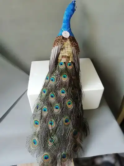 peacock doll