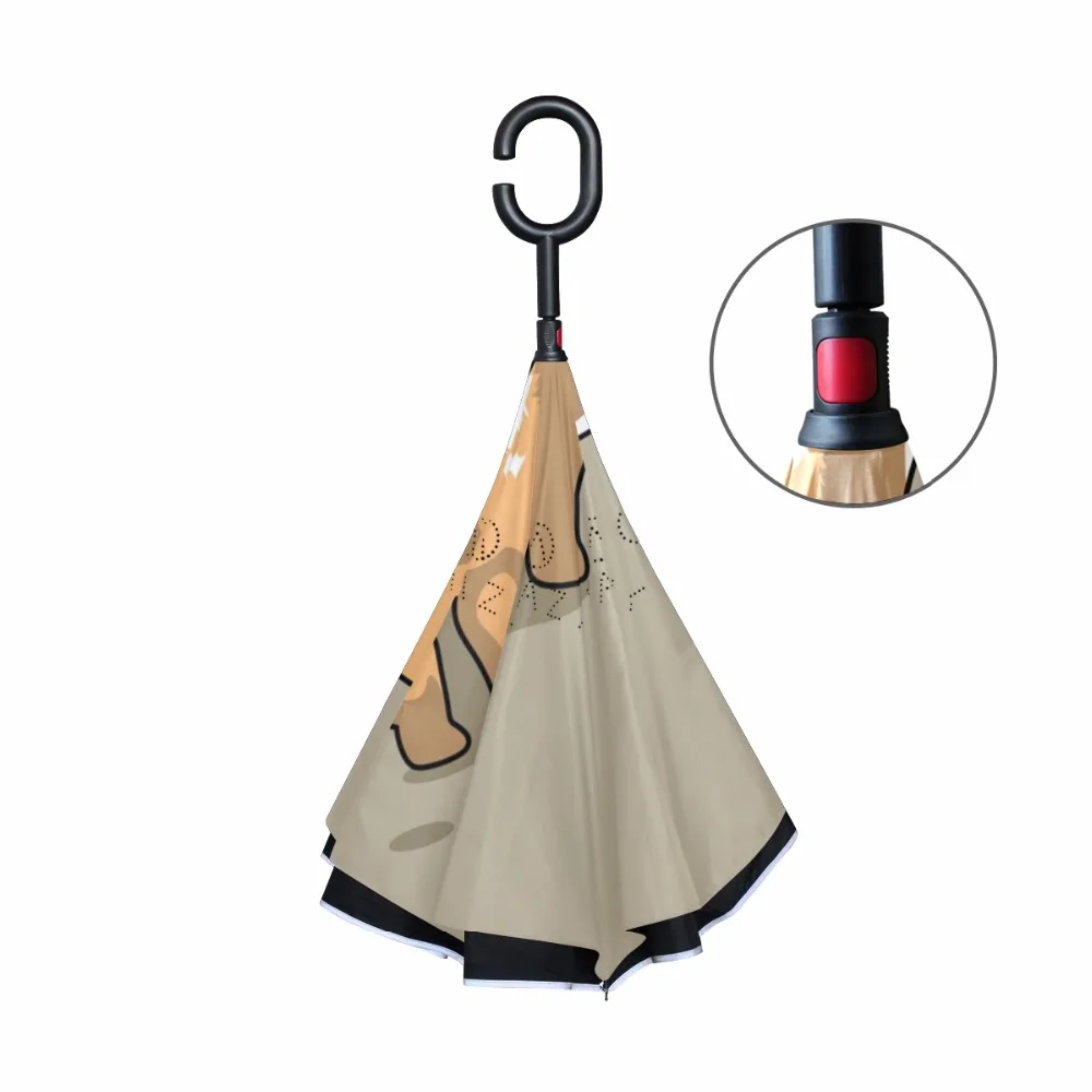 g3354830p183c217s313_2