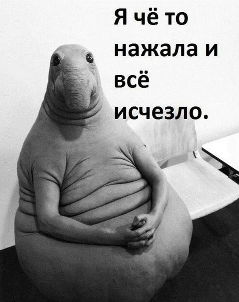 4240058161_195509781