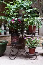 European multilayer flower wholesale The ground four layer type indoor and outdoor potted flower European multilayer flower wholesale The ground four layer type indoor and outdoor potted flower