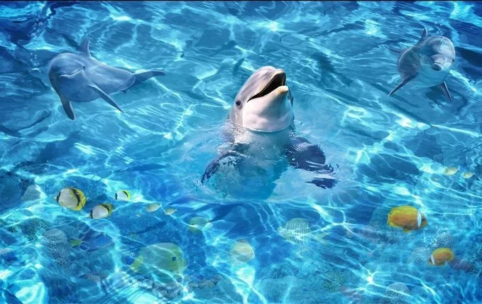 59905e2e4e181e2618862cca-1-original