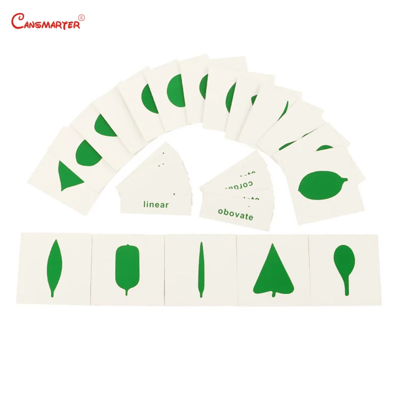 

Leaf Cards Montessori Teaching Toys for Children House Center Cards Set PVC Materials Educational Toy Game Leaf Shape BO058-3