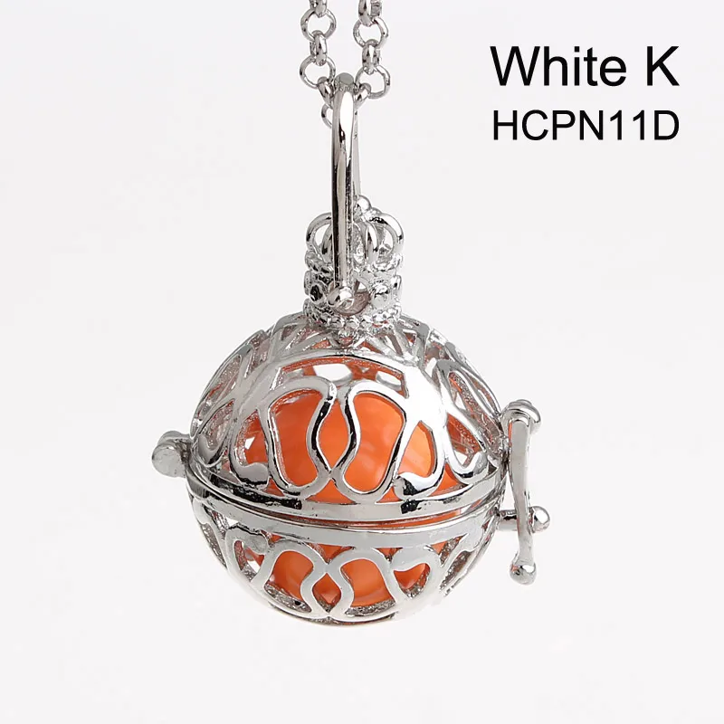 HCPN11D-1
