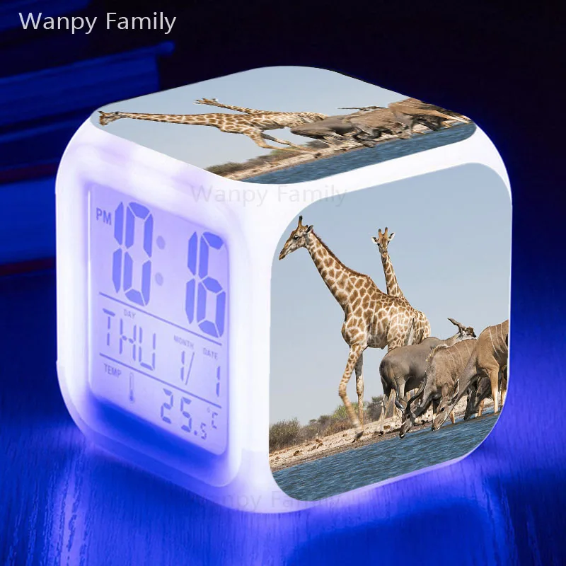 商标15
