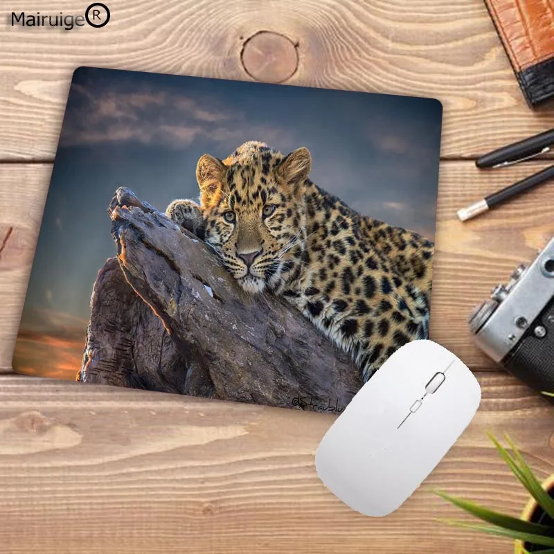 32leopard-desktop-background-leopard-desktop-background-leopard-computer-backgrounds-snow-leopard-desktop-background-leopard-desktop-wallpaper (1)