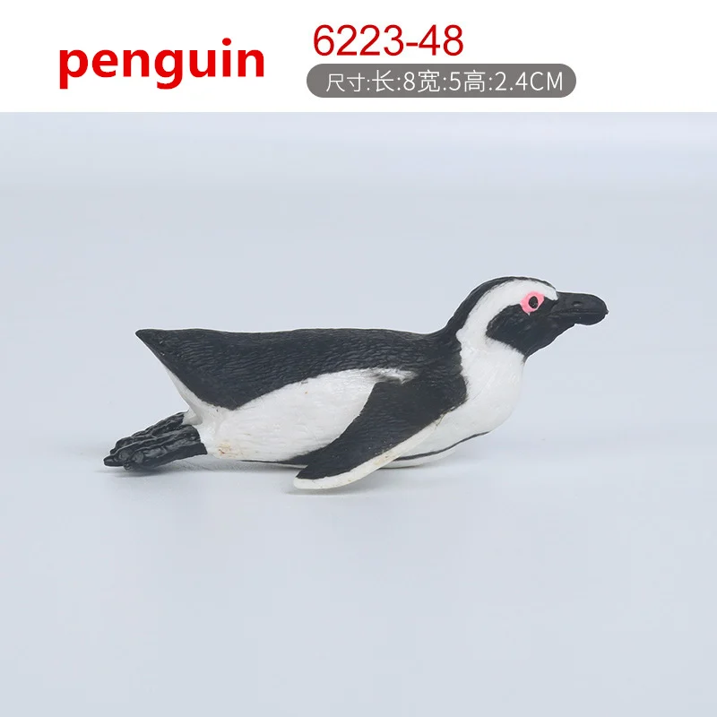 4461471772_1085278937