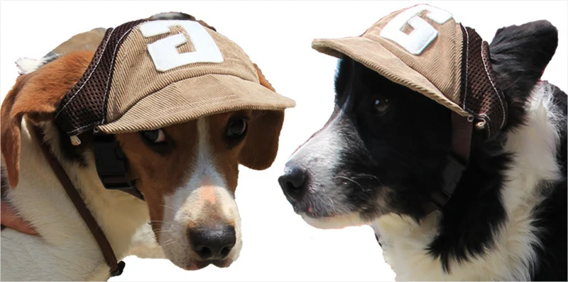 Dog baseball cap 1