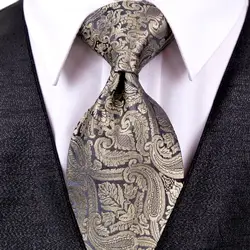 Пейсли многоцветный шампанское хаки черный темно серый мужские галстуки карман квадратный шелковый галстук 100% Бесплатная доставк