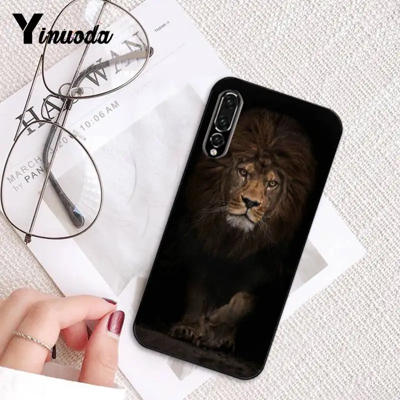 Russian version wolf tiger lion Leopard bear animal