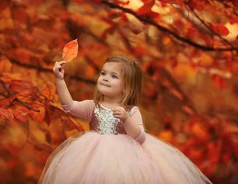 Puffy Sleeve Dress Toddler Party