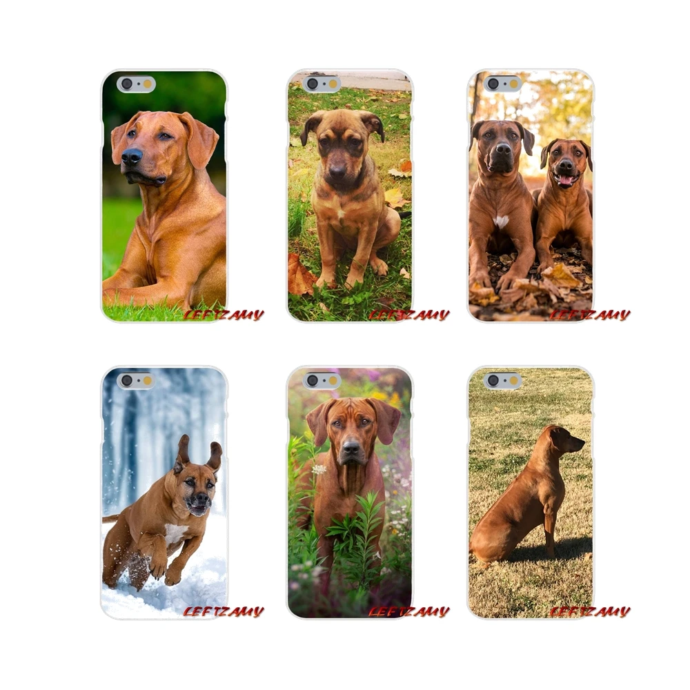 Модные мягкие прозрачные чехлы для iPhone X XR XS MAX 4 4S 5 5S 5C SE 6 6S 7 8 Plus ipod touch