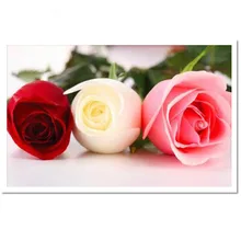 Белая собака Алмазная картина 5D DIY Алмазная Картина Вышивка крестом белая собака полная круглая Алмазная вышивка на заказ фотопрямая поставка