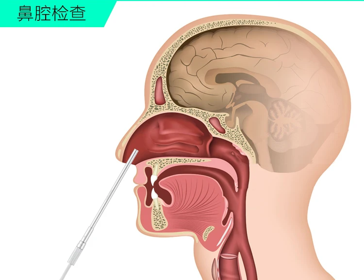 Z-IMAGING P5 Wi-Fi медицинский отоскоп оптического Wirel цифровой уха эндоскопа цифрового изображения ЛОР-отделение для рта губки для полости рта ухо эндоскоп