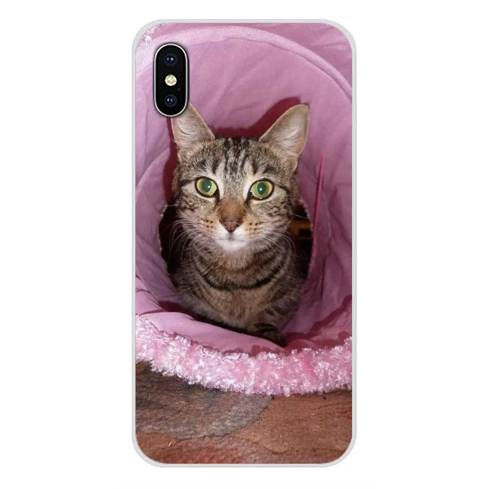 Прозрачный мягкий чехол Бенгальская кошка Красочные смарт для Apple iPhone X XR XS MAX 4 4S 5 5S 5C SE 6 6S 7 8 Plus ipod touch 5 6 - Цвет: images 8