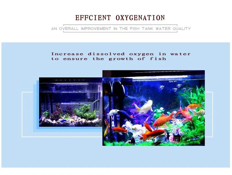02_conew1