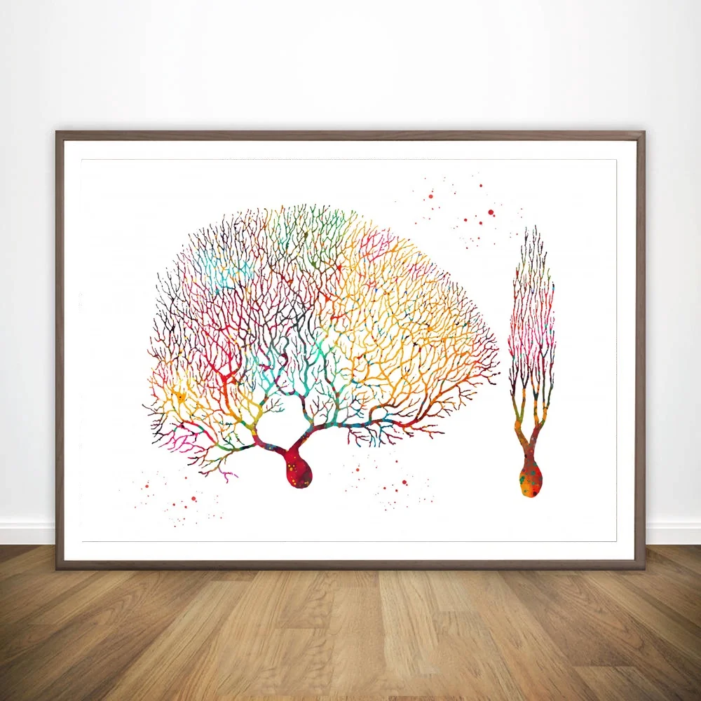 

Purkinje Neuron Red Wine Molecule Rib Cage Rorschach Inkblot Test Anatomical Medical And Science Poster