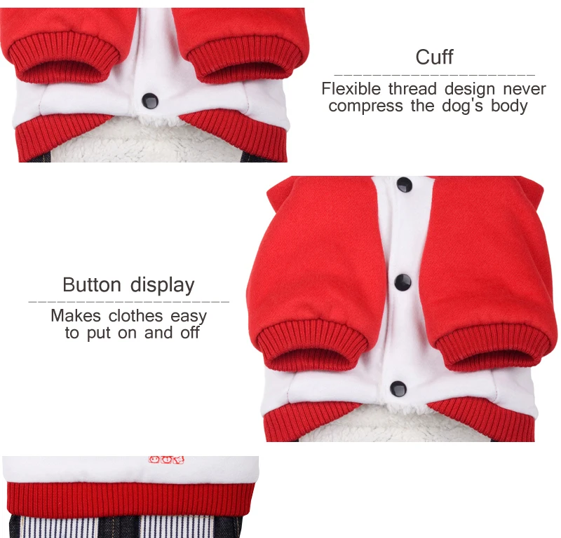 13 dog outfits 