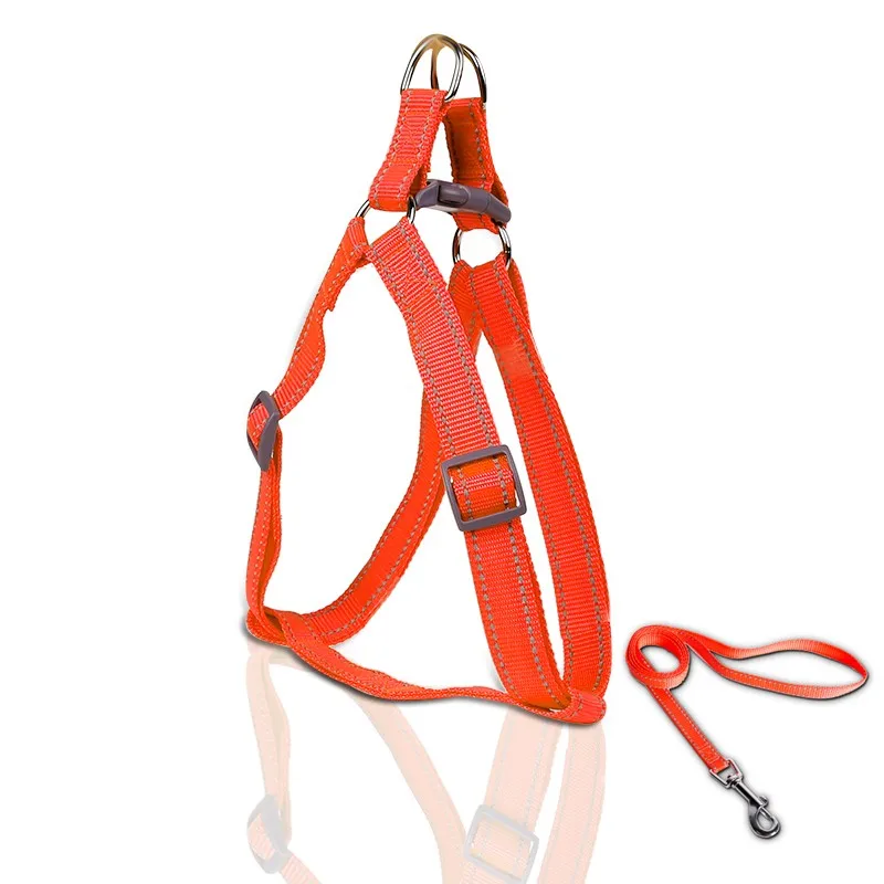 PD20007-2-