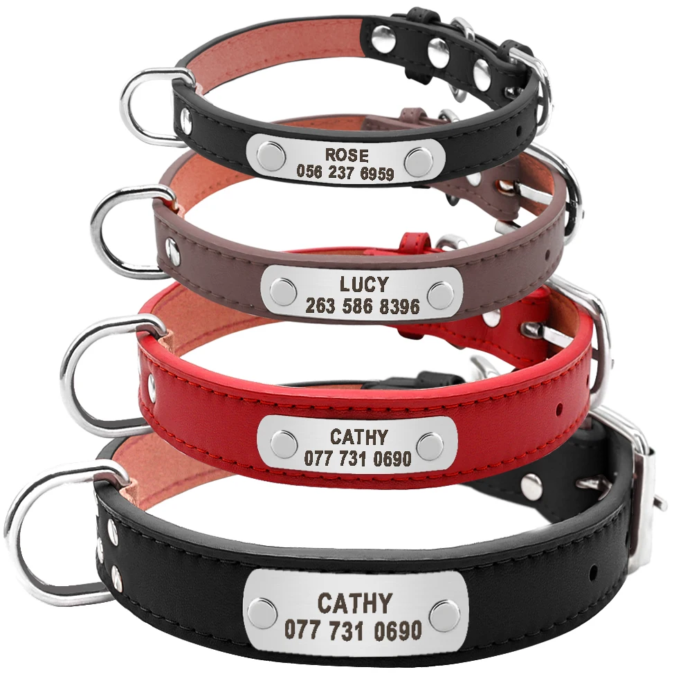 Large Durable Personalized Dog Collar