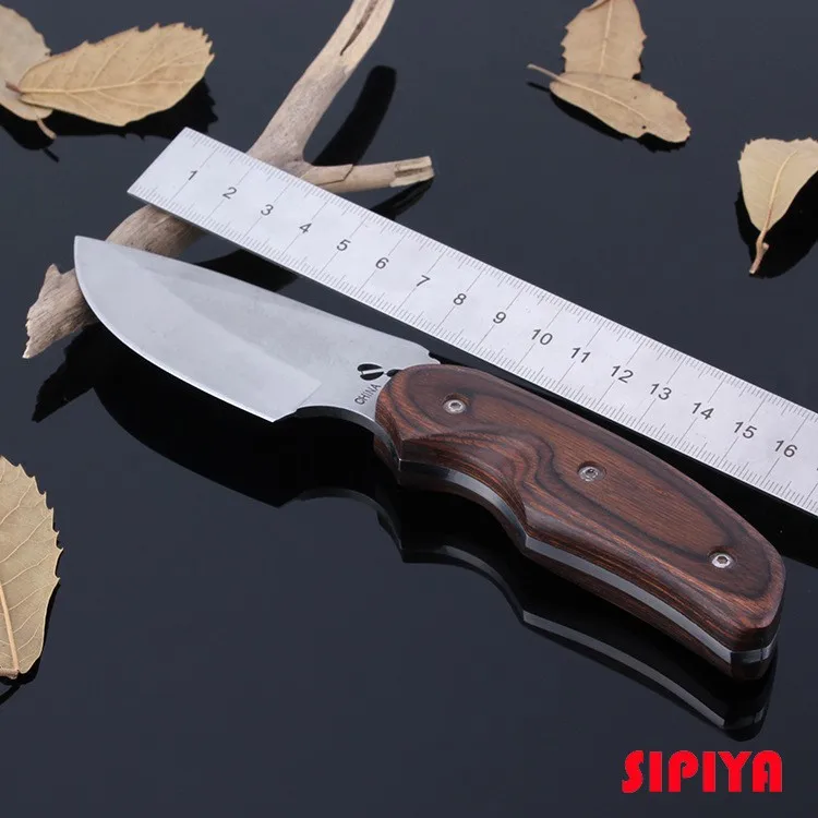 1940396302_1773764478