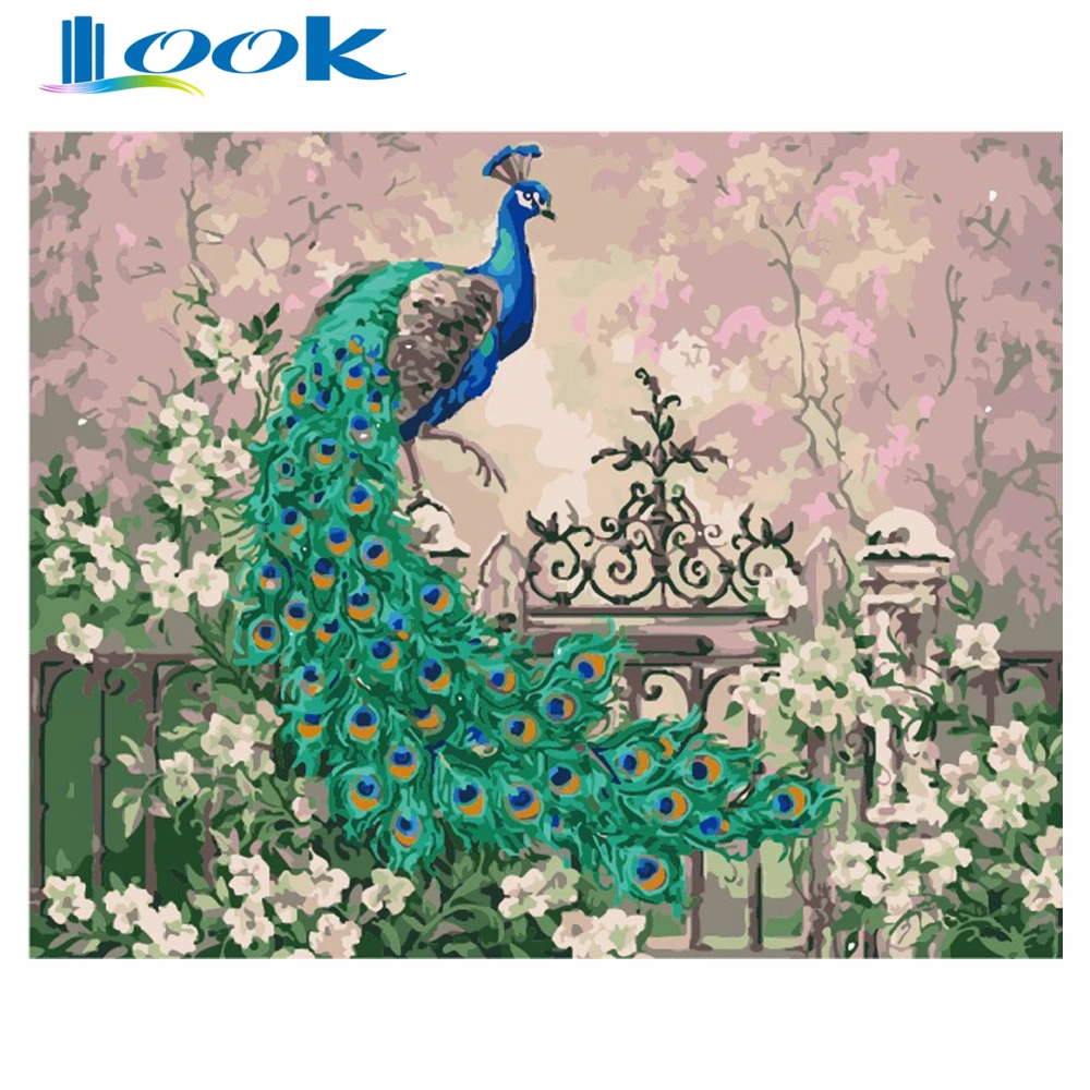 

DIY Digital Oil Painting By Numbers Color Kit Paint on Canvas with Wooden Frame for Children Gift Decoration Pictures Peacock