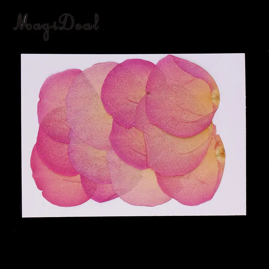 12 Pieces Pink Natural Real Dried Rose Flower Petals for DIY Wedding Christmas Card Making Phone Case Decoration