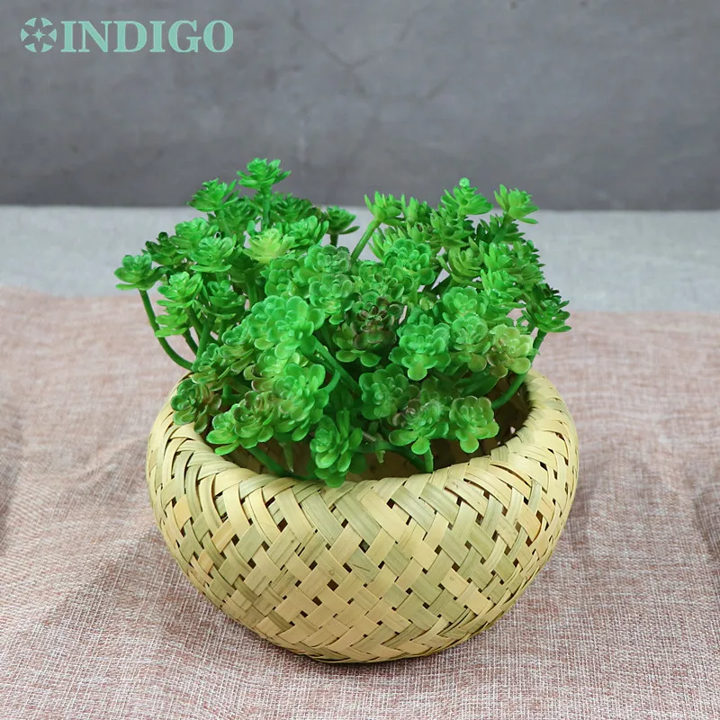 

10pcs Mini Green Artificial Succulent Plant Pachyphytm Oviferum Plastic Flower Table Decoration Free Shipping