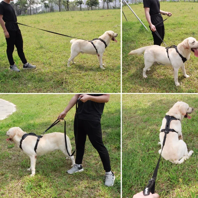 New Elastic Waist Dog Leash For Walking Running for Large Small Pet dog Adjustable Nylon With Reflective traction rope