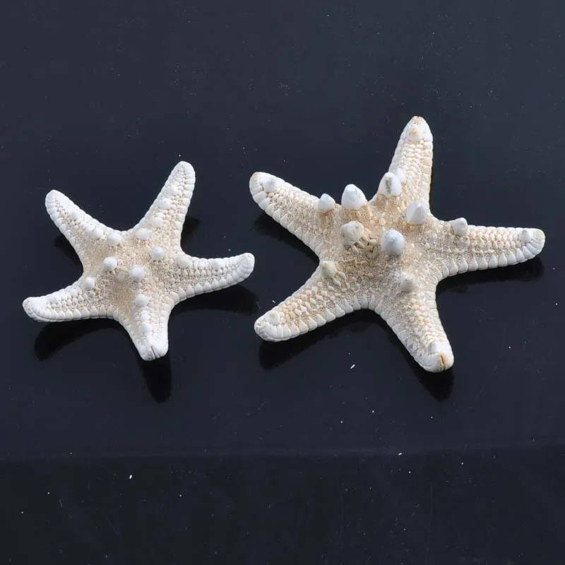 Натуральные морские звезды, бежевый цвет, скрапбукинг, вечерние украшения для дома, разные цвета, 2 шт, 1-6 см CP0328