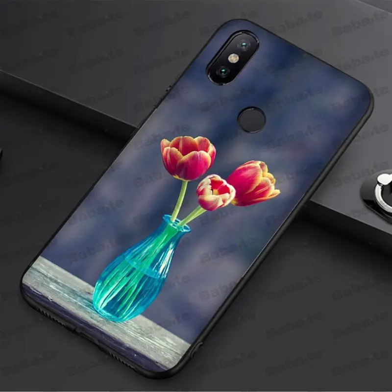 tulip flower 